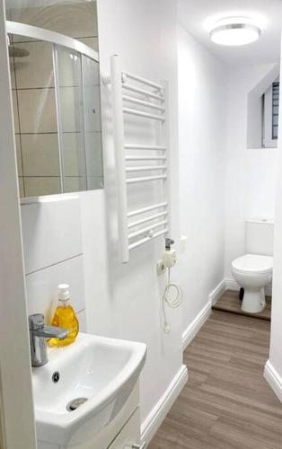 Central studio flat, Bucharest (photo 6)