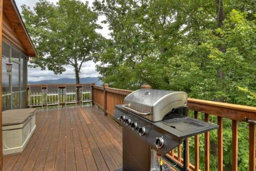 Mount Watson Lodge in Mineral Bluff, USA