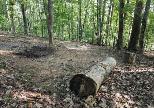 Poplar Ridge Retreat in Blairsville, USA