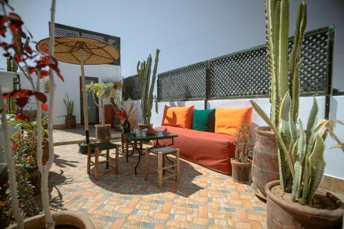 Riad Darino - image 12