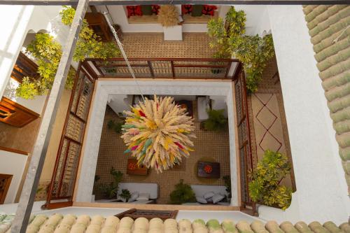 Riad Darino - main image