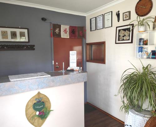 ألفريد موتور إن (Alfred Motor Inn) in بالارات