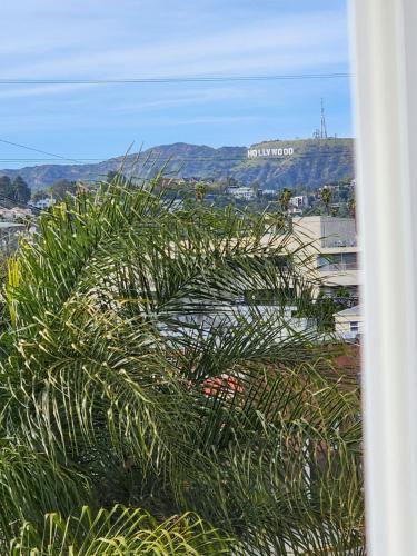 Normandie Hostel, Los Angeles (foto 4)