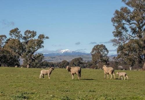 Linleigh Farmhouse With Mountain Views