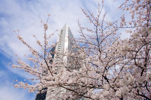 ANA InterContinental Tokyo, an IHG Hotel