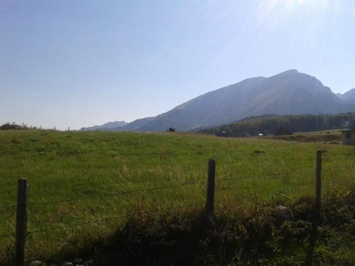 Boskovica Brvnare - image 8