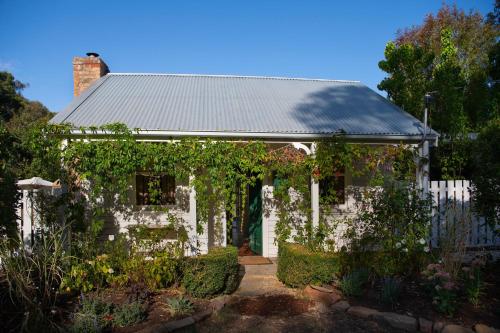 Фасада на хотела, Wisteria Hysteria in Mount Franklin