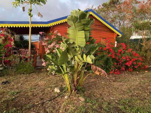 Garden, Bungalows Mathilde-non fumeur in Bouillante
