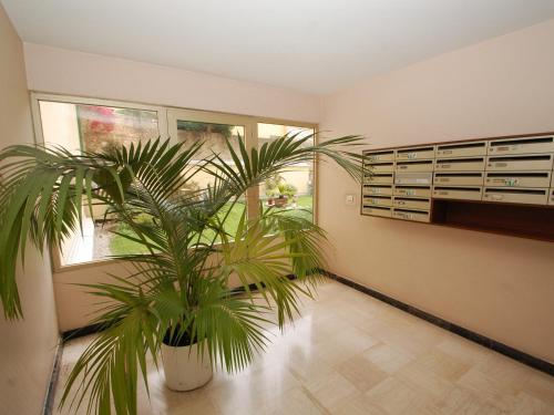 Apartment image 1