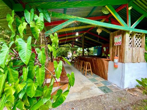 ห้องครัว, Alouatta Lodge and Canopy in กาอุยตา