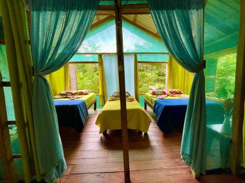 สภาพแวดล้อมโดยรอบ, Alouatta Lodge and Canopy in กาอุยตา