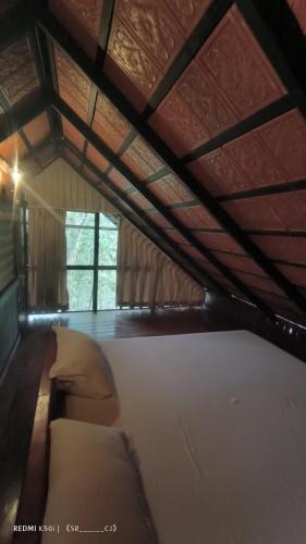 Deluxe Suite image 6