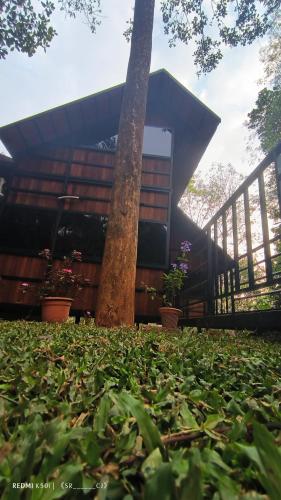 Tree House Wayanad - image 3