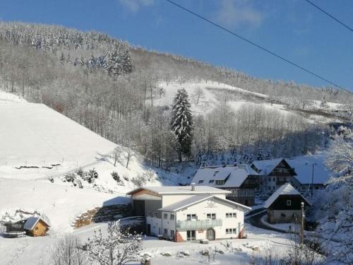 Nice apartment in Oberkirch