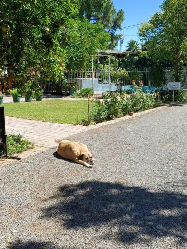 Herb Garden Guesthouse