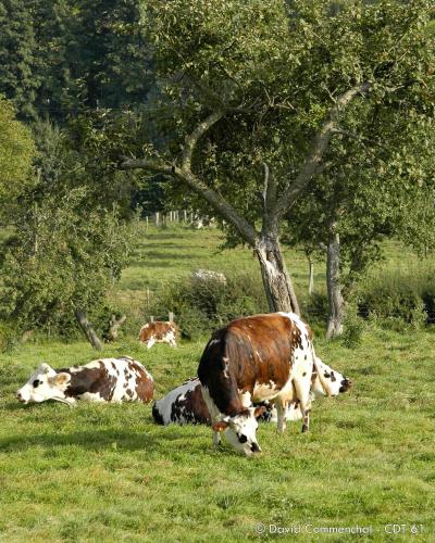 Hébergements Insolites dans tonneaux - Gite Le Coup de Foudre