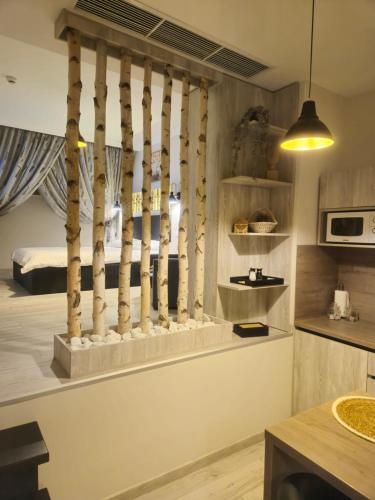 kuhinja, Bizi House Accommodation 2 in Centru