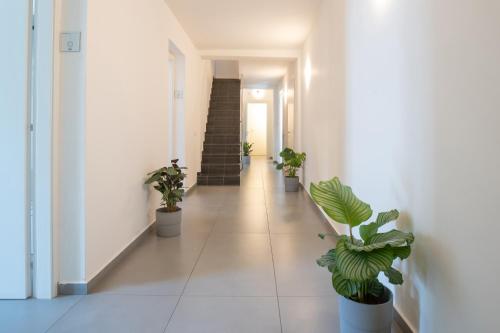Suite Inn Catania - 로비
