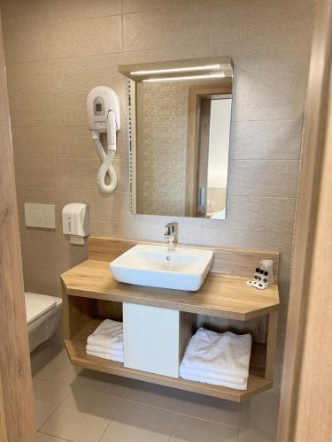 Guesthouse Aleš - image 12