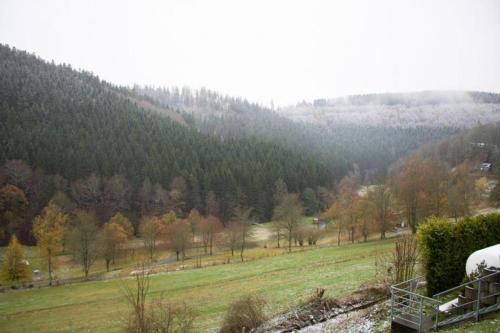 Tal Blick 3-Zimmer Nordenau/ Winterberg