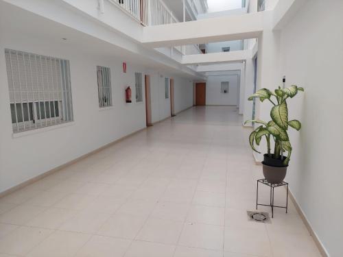 Vista Segaria Apartment in El Vergel in Els Poblets