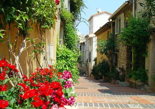 Apartment with 2 bedrooms in Antibes with enclosed garden and WiFi 800 m from the beach - image 3