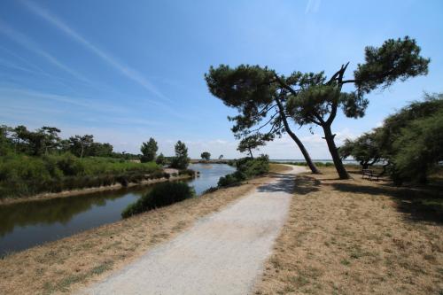 500m plage- Bassin d'Arcachon- Maison pour 6 in 朗通
