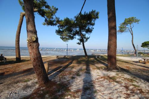 500m plage- Bassin d'Arcachon- Maison pour 6 in 朗通