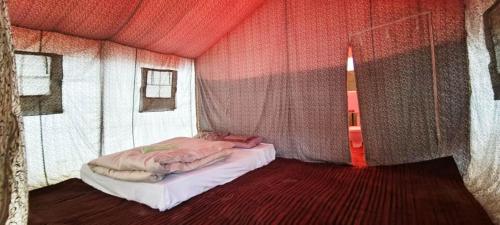 Marmote Camps - Sarchu in 沙爾丘