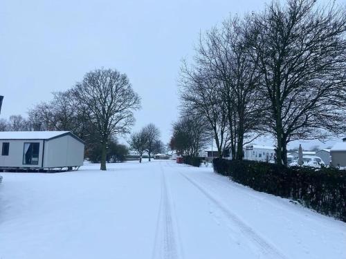 Holidays with TLC at Barlings Country Park