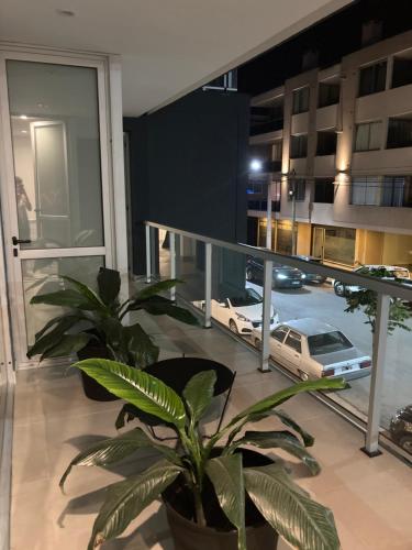 La pedrera Departamentos de lujo en la ciudad Cultural in Barrio Alto Padilla