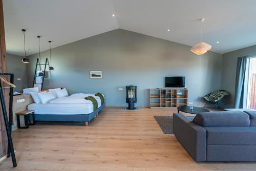 1 queen bed, 1 sofa bed