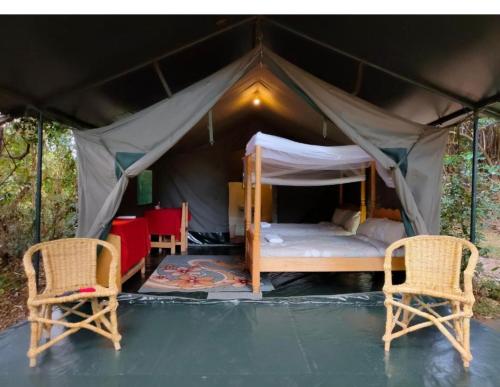 Dan Maasai Mara safari camp