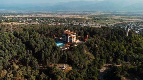 Zuzumbo Resort & Spa - Accommodation - Telavi