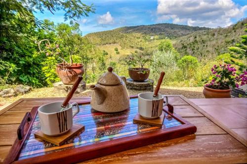 المرافق, Studio Amigos in Le Diamant