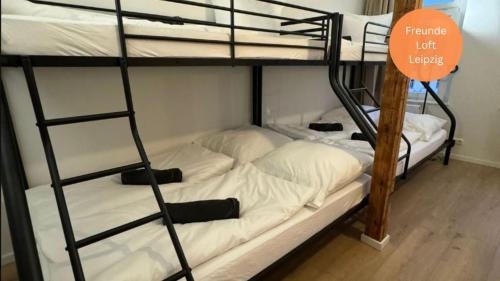 Loft für 10 Freunde, Lipsko (fotografie 9)