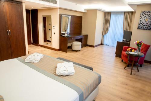 Grand Aras Hotel & Suites, Istanbul (photo 10)