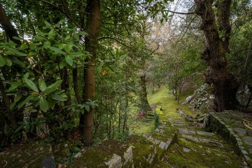 Río y Encanto: Casona en Puente Viesgo