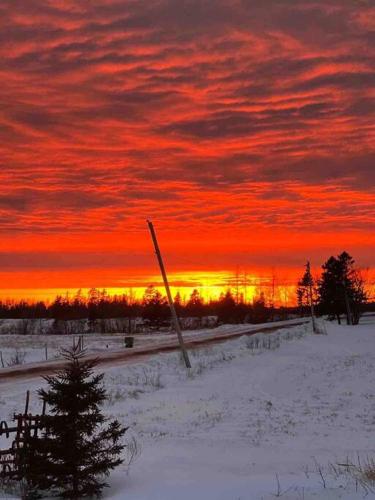 Sunset View in โอเลียรี