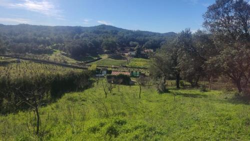 Kert, Finca del Abu in Los Marines