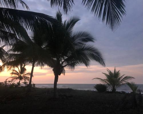 Beach, Casa Babsita in Cahuita