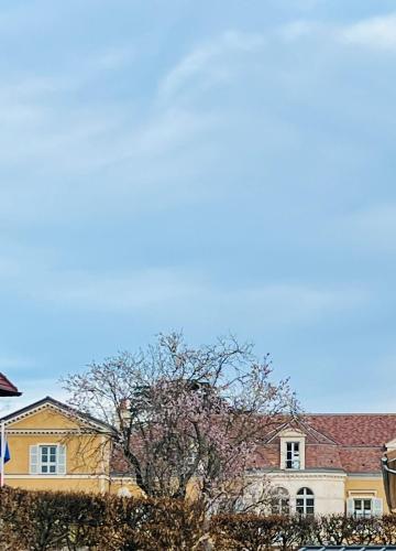 Chez Pierrette à deux pas du Château de Meursault (Chez Pierrette a deux pas du Chateau de Meursault) in Мерсол