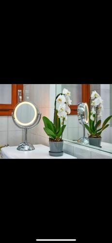 Anastasio II apartment - image 8