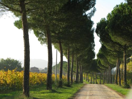 Poggio alle Vigne