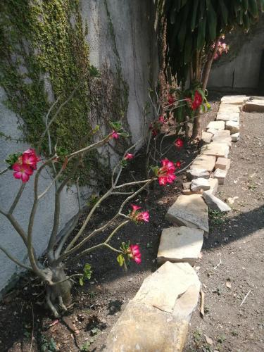 El Eden in Ciudad Valles, Mexico