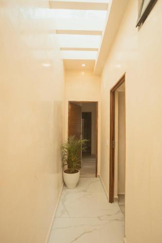 Casa Nawalli Puerto Vallarta Boutique Hotel - Adults Only