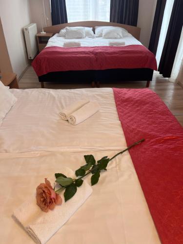 Hotel Rose City - image 11