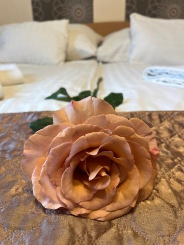 Hotel Rose City, Budapest