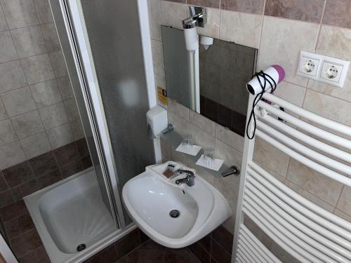 Hotel Rose City - image 7