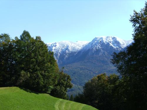 Bauernhof Familie Knoblechner